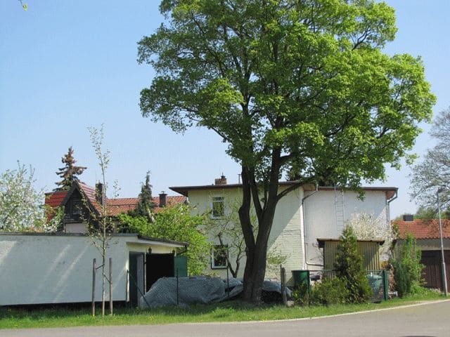 Kupferhaus