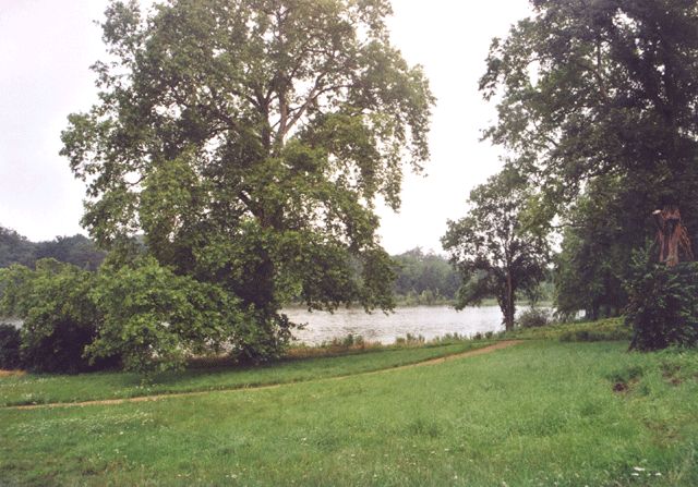Park mit Groß Behnitzer See