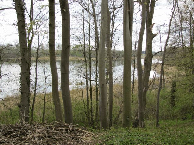 Densowsee