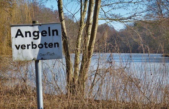 Selbstschutz am Mühlenteich Schloss Dammsmühle<BR />Foto von Brigitte Dittmar