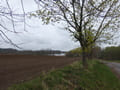 Weg von Zaun nach Brodowin mit Blick auf den Brodowinsee