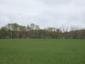 Blick zum Wesensee