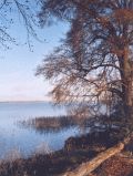 Pehlitzwerder, Parsteiner See