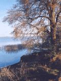 Pehlitzwerder, Parsteiner See