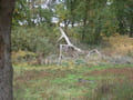 Am Kiebitzsee