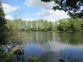 Haussee