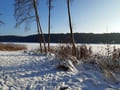 Bauersee