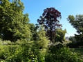 Hohenzollernpark
