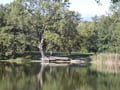Lochower See