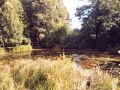 Schlosspark