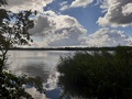 Blick vom Schmöckwitzer Werder auf den Krossinsee