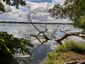 Blick vom Schmöckwitzer Werder auf den Krossinsee