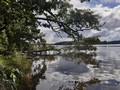 Blick vom Schmöckwitzer Werder auf den Krossinsee