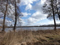 Zeesener See