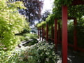 Chinesischer Garten