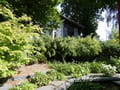 Chinesischer Garten