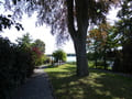 Chinesischer Garten
