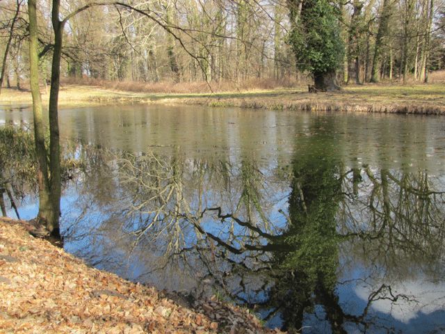 Spiegelungen im Schlosspark