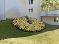 Blumenuhr