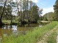 Friedrich-Wilhelm-Kanal