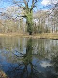 Spiegelungen im Schlosspark