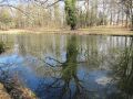 Spiegelungen im Schlosspark