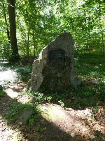 Dankelmann-Stein