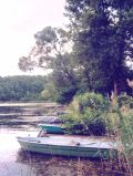 am Langen See