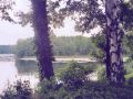 am Langen See