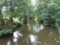 Alte Oder