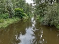 Alte Oder