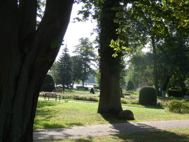 Stadtpark am Schwedtsee