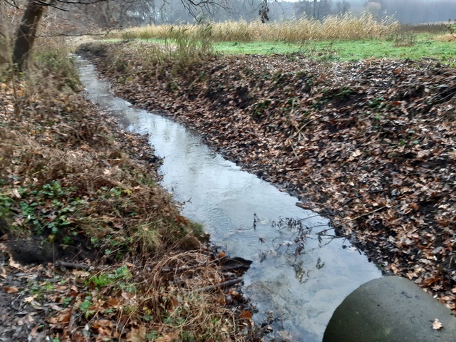 Beegraben
