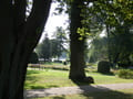 Stadtpark am Schwedtsee