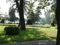 Stadtpark am Schwedtsee