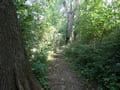 Havelpark