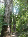 Havelpark