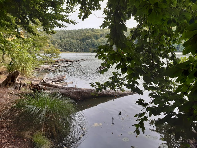 Tornowsee