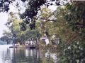 zwischen Molchow- und Tetzensee