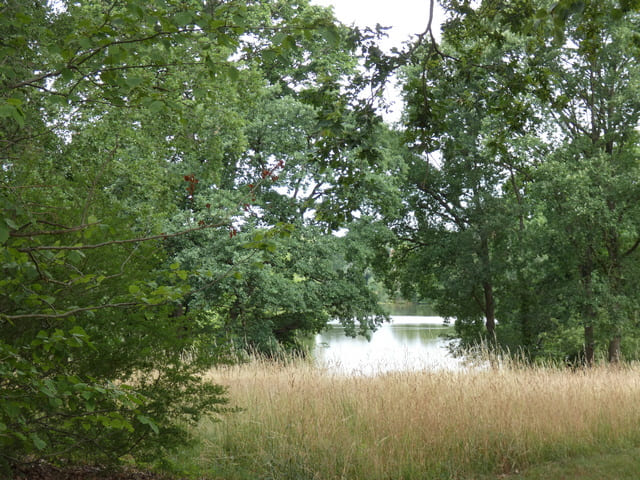 Bornstedter See