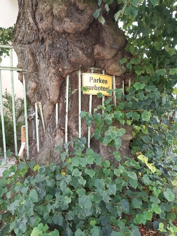Verbot im Einklang mit Natur und Technik