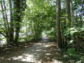 Weg am Groß Glienicker See
