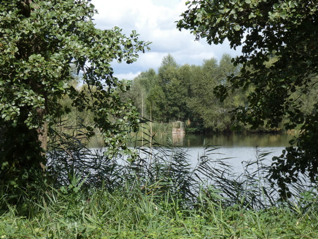 Reckahner Fischteiche