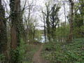 Kleiner Teich an der SteinTherme