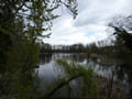 Kleiner Teich an der SteinTherme