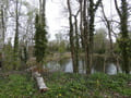 Kleiner Teich an der SteinTherme
