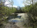 Kleiner Teich am Mühlenweg