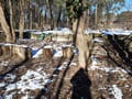 Fundament des ehemaligen Ballsaales von Kleinmachnow