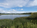 Aussicht über die Reckahner Fischteiche