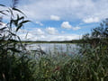 Reckahner Fischteiche